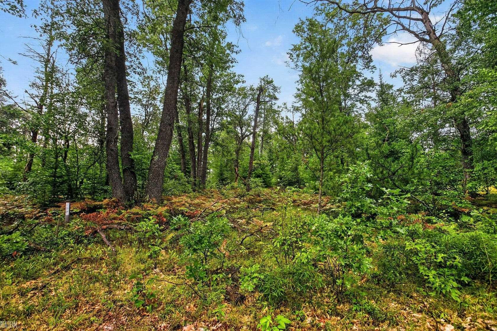 0.37 Acres of Residential Land for Sale in Mio, Michigan