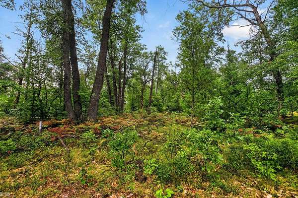 0.37 Acres of Residential Land for Sale in Mio, Michigan