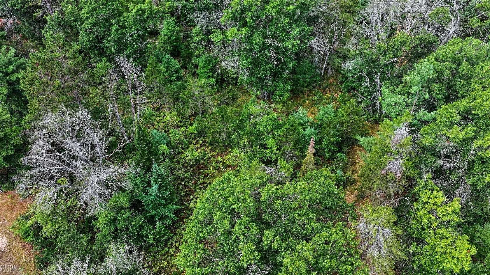 1.72 Acres of Residential Land for Sale in Mio, Michigan
