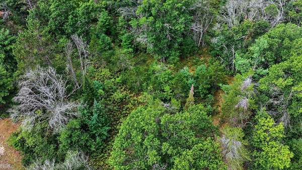 1.72 Acres of Residential Land for Sale in Mio, Michigan