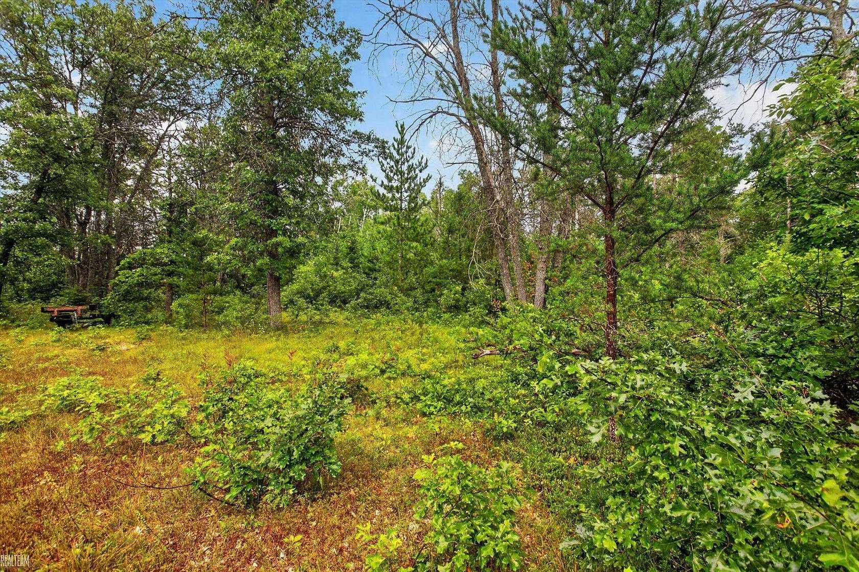 18.6 Acres of Recreational & Residential Land for Sale in Luzerne, Michigan