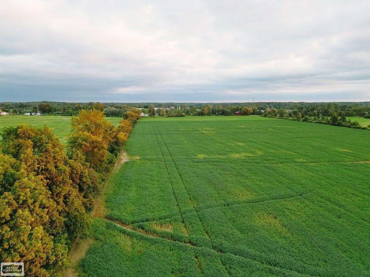 10 Acres of Residential Land for Sale in Riley Township, Michigan