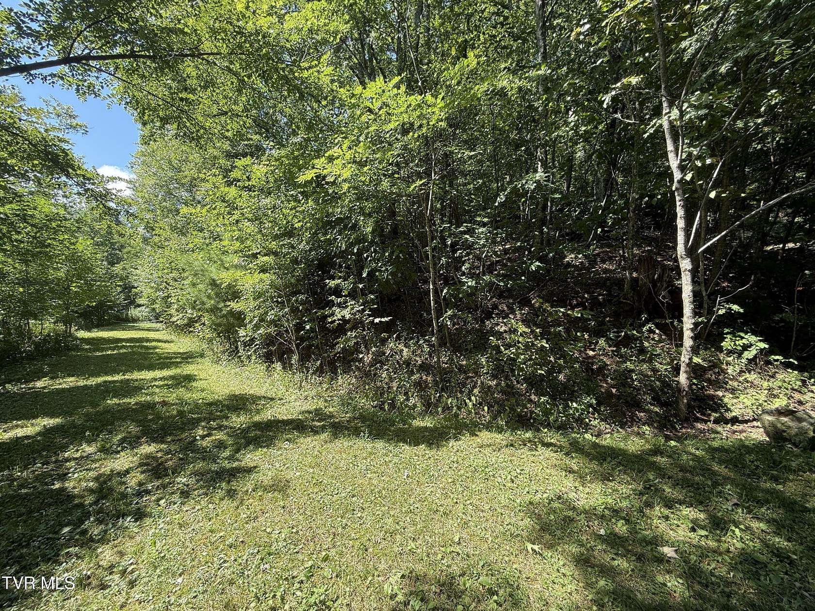 0.35 Acres of Residential Land for Sale in Roan Mountain, Tennessee