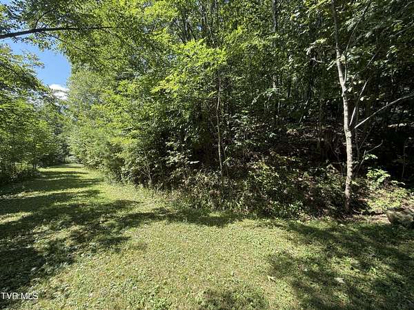 0.35 Acres of Residential Land for Sale in Roan Mountain, Tennessee