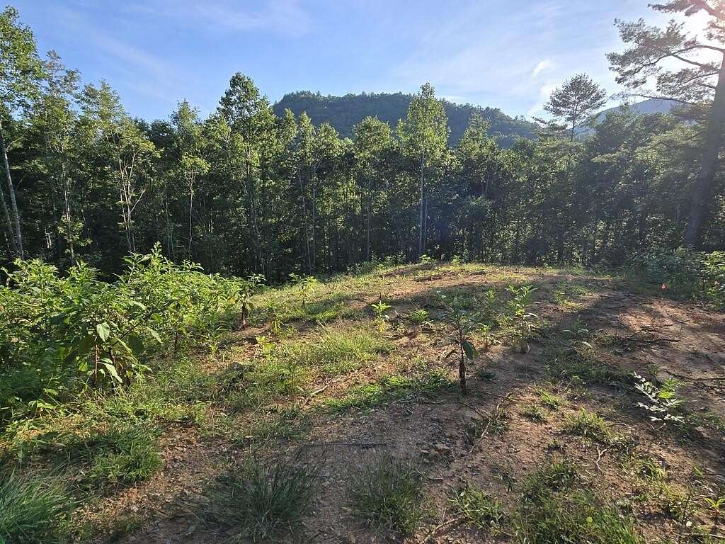 1.22 Acres of Residential Land for Sale in Hiawassee, Georgia
