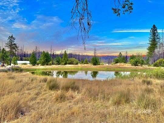 74.2 Acres of Land for Sale in Kettenpom, California