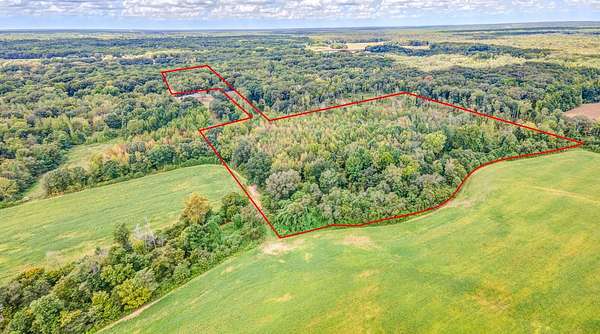 30 Acres of Land for Sale in Whiteville, Tennessee
