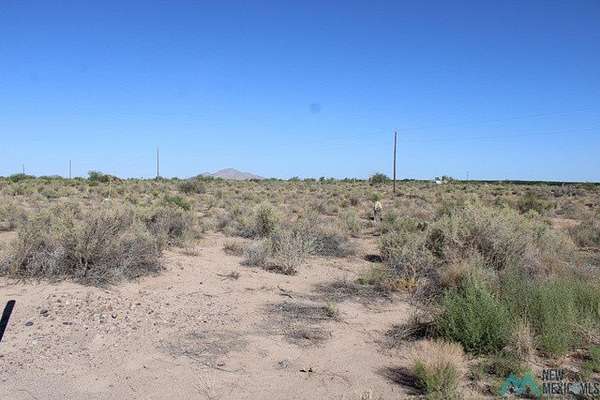 1 Acre of Land for Sale in Deming, New Mexico