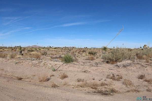 1 Acre of Land for Sale in Deming, New Mexico