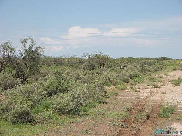 1 Acre of Land for Sale in Deming, New Mexico