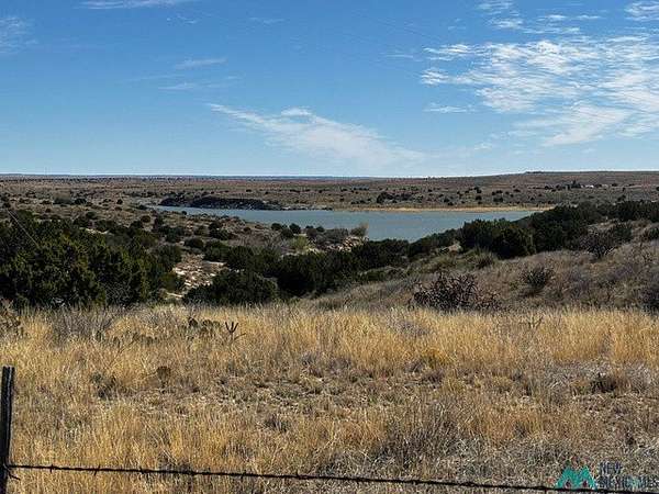 2.68 Acres of Land for Sale in Fort Sumner, New Mexico