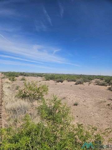 1 Acre of Land for Sale in Deming, New Mexico