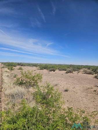 1 Acre of Land for Sale in Deming, New Mexico