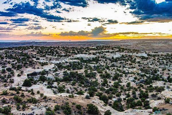 332 Acres of Recreational & Residential Land for Sale in Farmington, New Mexico