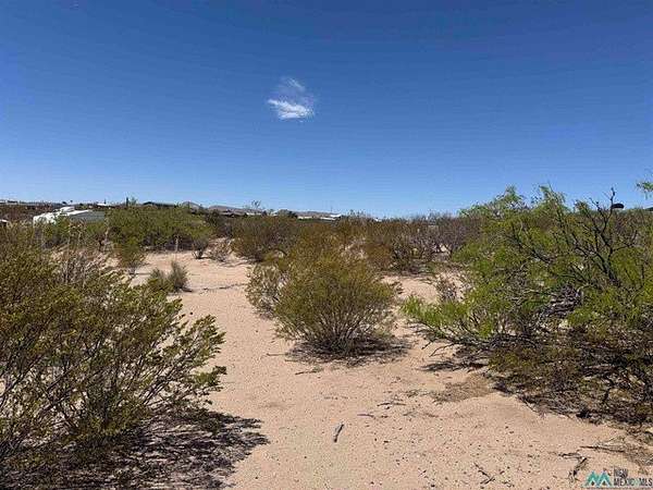 0.25 Acres of Land for Sale in Elephant Butte, New Mexico