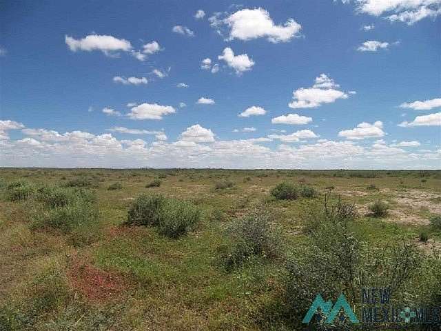 1 Acre of Land for Sale in Deming, New Mexico