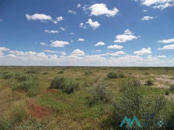 1 Acre of Land for Sale in Deming, New Mexico