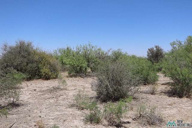 1 Acre of Land for Sale in Deming, New Mexico