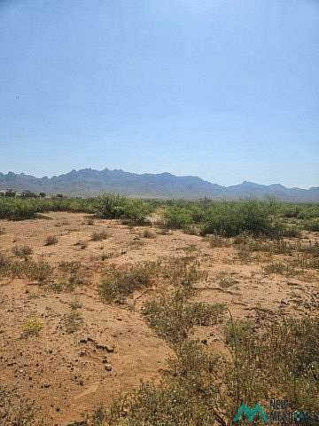 15 Acres of Land for Sale in Deming, New Mexico
