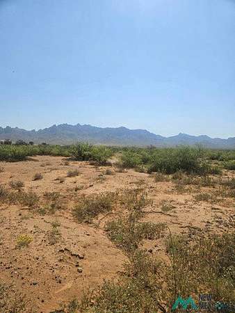 15 Acres of Land for Sale in Deming, New Mexico