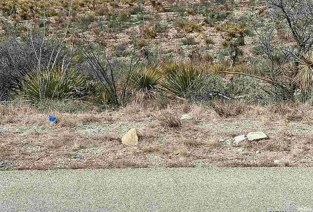 1.27 Acres of Residential Land for Sale in Carlsbad, New Mexico