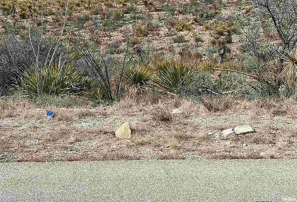 1.27 Acres of Residential Land for Sale in Carlsbad, New Mexico