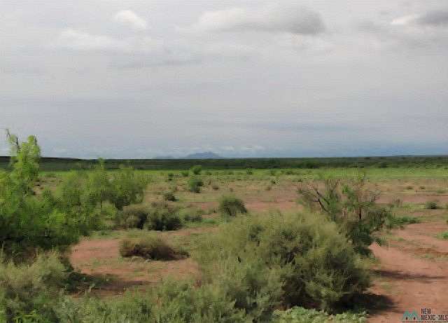 160 Acres of Land for Sale in Deming, New Mexico