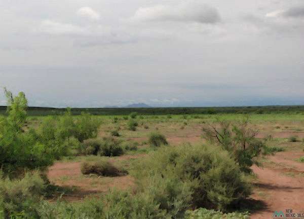 160 Acres of Land for Sale in Deming, New Mexico