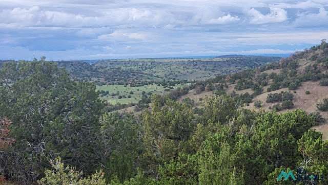6 Acres of Residential Land for Sale in Quemado, New Mexico