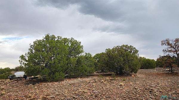 6 Acres of Residential Land for Sale in Quemado, New Mexico