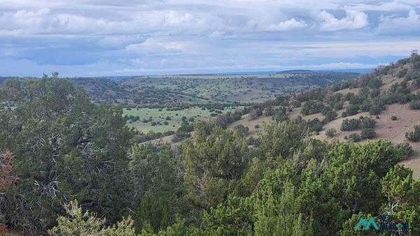 6 Acres of Residential Land for Sale in Quemado, New Mexico