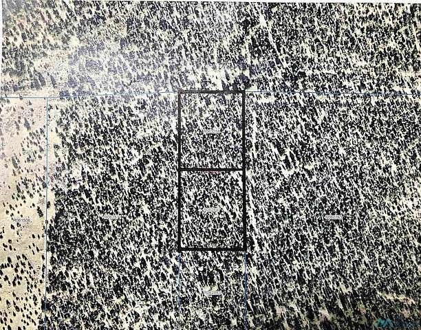 9.8 Acres of Land for Sale in Vanderwagen, New Mexico