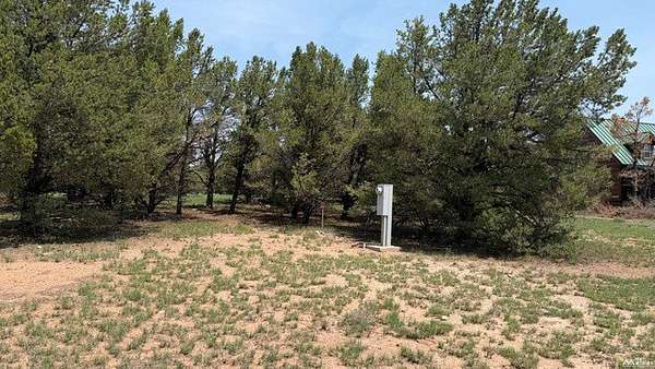 1.38 Acres of Residential Land for Sale in Quemado, New Mexico