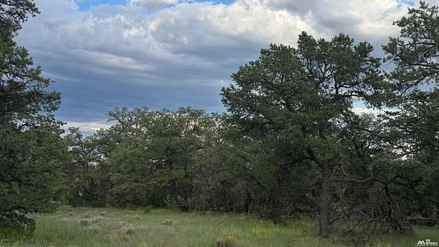20 Acres of Recreational Land for Sale in Fence Lake, New Mexico