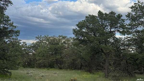 20 Acres of Recreational Land for Sale in Fence Lake, New Mexico