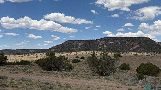 35.2 Acres of Land for Sale in Quemado, New Mexico