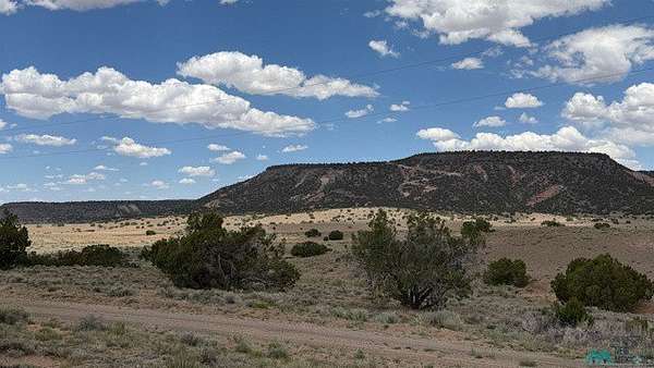 35.2 Acres of Land for Sale in Quemado, New Mexico