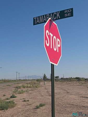 1 Acre of Residential Land for Sale in Deming, New Mexico