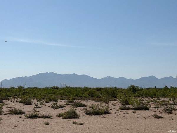 40 Acres of Land for Sale in Deming, New Mexico