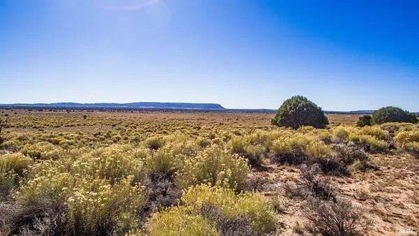 27.6 Acres of Recreational Land for Sale in Pinehill, New Mexico