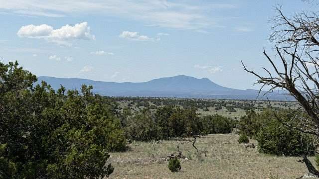 10.3 Acres of Land for Sale in Quemado, New Mexico