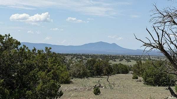 10.3 Acres of Land for Sale in Quemado, New Mexico