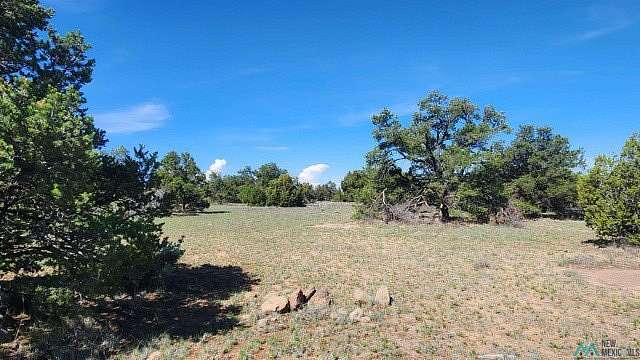 20.5 Acres of Recreational & Residential Land for Sale in Quemado, New Mexico