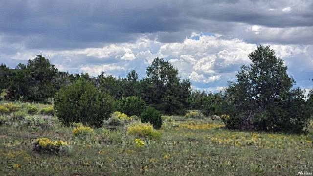 20.5 Acres of Recreational & Residential Land for Sale in Quemado, New Mexico
