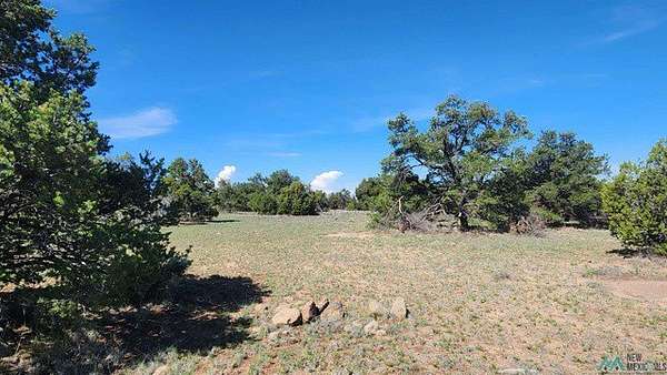 20.5 Acres of Recreational & Residential Land for Sale in Quemado, New Mexico