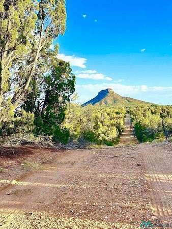 101 Acres of Recreational & Residential Land for Sale in Serafina, New Mexico