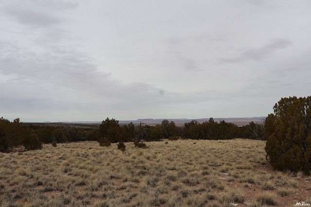 310 Acres of Recreational Land for Sale in Grants, New Mexico