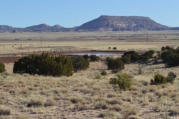 12.5 Acres of Land for Sale in Prewitt, New Mexico