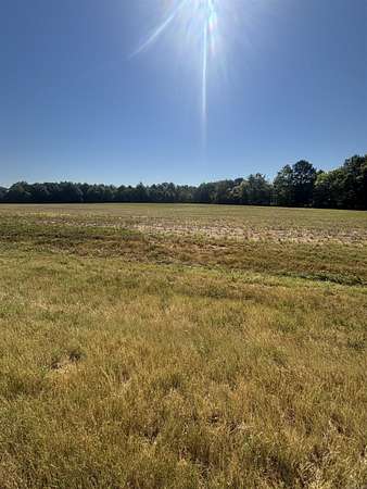 12 Acres of Recreational Land for Sale in Corning, Arkansas