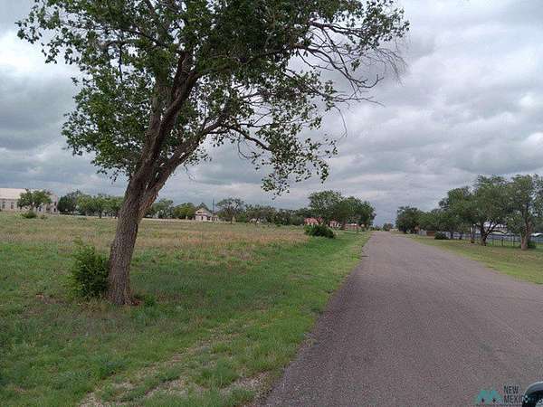 2 Acres of Land for Sale in Elida, New Mexico